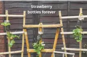  ??  ?? Strawberry bottles forever