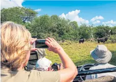 ?? /Getty Images ?? Stalled sector: Tourists soak up the African bush on a game drive at SA’s Phinda Private Game Reserve.