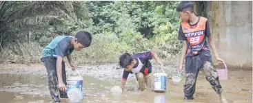  ?? — Bernama photo ?? (From right) Faizal, Syahrizal and Sharil search for red mahseer fingerling­s which they would later sell to earn pocket money.