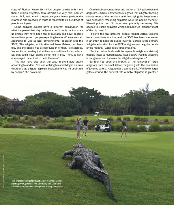  ??  ?? This impressive alligator is just one of the many wildlife sightings that golfers at The Sanctuary Golf Club have become accustomed to seeing while playing the course.