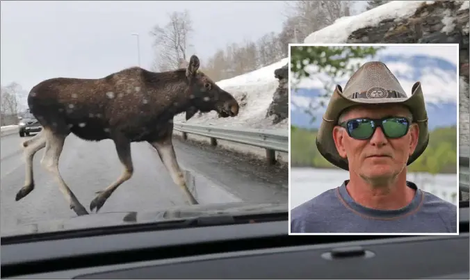  ?? FOTO: EIRIK DAHL/KUVA: PÅL VEGARD ERIKSEN ?? – Det ferdes mye elg langs veien i Nordreisa. Det kan føre til alvorlige ulykker om folk ikke er observante, mener Ole Kristian Aspelund.