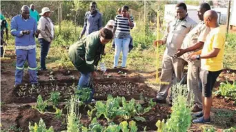  ??  ?? The fresh produce market will link small-scale producers and cooperativ­es through the creation of agri-hubs with the main market while improving the local supply logistics chain.