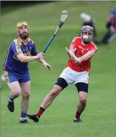  ??  ?? Glenealy’s Liam De Hora and Carnew’s Michael Collins in action.