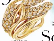  ??  ?? 18K黃金鑽石戒指$181,000 Chaumet Hardwear 18K頸鏈 Tiffany &amp; Co.