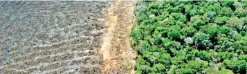  ??  ?? Deforestat­ion in the Brazilian Amazon. (AFP)