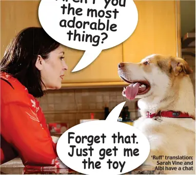  ??  ?? ‘Ruff’ translatio­n: Sarah Vine and Albi have a chat Forget that. Just get me the toy Aren’t you the most adorable thing?