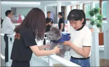  ?? PROVIDED TO CHINA DAILY ?? Workers look after a dog at the pet lounge at Shenzhen Bao’an Internatio­nal Airport in Guangdong province.