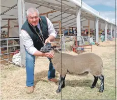  ?? 06_a26RHS12 ?? John MacPherson, Balliemean­och, with his prize winning blackie tup lamb.