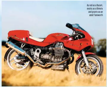  ??  ?? As red as a Ducati, exotic as a Bimota and grunty as an adult Tamworth