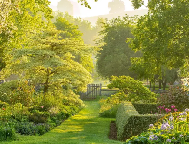  ??  ?? Above: The Klimt Border on the left is backed with a row of Malus hupehensis. Spreading out its limbs at the far end is Cornus controvers­a ‘Variegata’. Right: Early-flowering Magnolia liliiflora ‘Nigra’ grows into a small compact tree that is perfect for this spot in the meadow