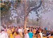 ??  ?? People throng the miracle tree in Satpura Tiger Reserve in Madhya Pradesh on Wednesday.