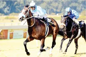  ??  ?? OPPORTUNIT­Y. Orpheus has a good draw and decent enough form to win the Grade 3 Graham Beck Stakes over 1400m at Turffontei­n tomorrow.