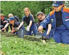  ?? FOTO: BECKER & BREDEL ?? Mitglieder der Jugendfeue­rwehr Malstatt-Burbach sind mit Eifer dabei, Grabsteine auf dem Saarbrücke­r Waldfriedh­of zu reinigen.