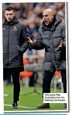  ?? ?? City boss Pep Guardiola lets his feelings be known