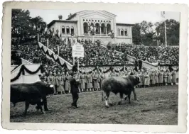  ?? ?? Vorführen der Preisstier­e beim Oktoberfes­t 1910. Kleines Bild: der aus Thalgau stammende Karl von Moll.