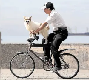  ?? — MARIANNE BERMUDEZ ?? BAYWALK BONDING A man and his “best friend” enjoy a leisurely ride along Roxas Boulevard in Manila.