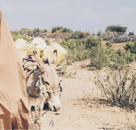  ?? ?? 0 Asli Duqow returns home from fetching water in Wajir County, Kenya, where drought has caused a 70 per cent drop in crop production