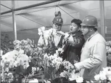  ?? GUO PANPAN / FOR CHINA DAILY ?? A cultivator of butterfly orchids (center) addresses queries from local State Grid employees in Suqian, Jiangsu province, on Jan 18.