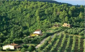  ??  ?? MEDIEVALE L’agriturism­o Tenuta di Forte Sorgnano, sulle colline tra Perugia e Foligno, si estende per oltre 200 ettari. Qui si imparano a cucinare i piatti della tradizione umbra; da qui si parte per scoprire 30 itinerari cicloturis­tici...