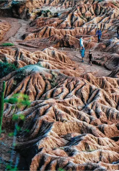  ?? Federico Rios Escobar / New York Times ?? A trail in Desierto de la Tatacoa in southwest Colombia.