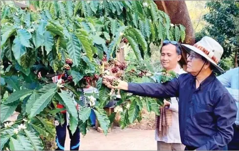  ?? SUPPLIED ?? Kem Sokha (right) and Yang Saing Koma visit a farm in Mondulkiri province on March 30.