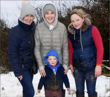  ??  ?? Rose and Michaela Walsh with Leigh and Ben Murphy enjoying the last remnants of the snow at the Lingstown point-to-point meeting on Sunday.