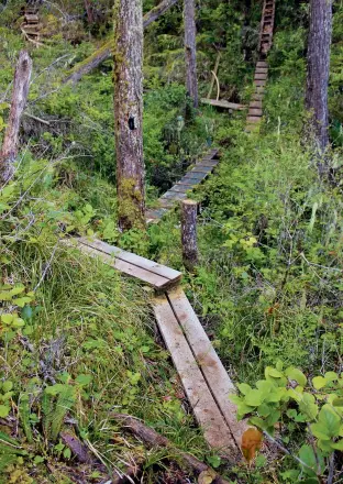  ??  ?? Clockwise from above: boardwalks, bridges and ladders that Gordon and Cindy built for visitors to explore Calvert Island; looking out from Barons Blu over the Pacific Ocean; a view of Calvert Island shrouded in fog.