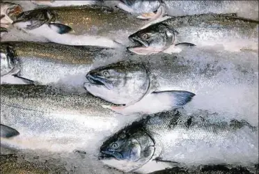  ?? Foto: imago stock ?? Fettreiche­r Fisch wie Seelachs sollte öfter auf dem Speiseplan stehen.