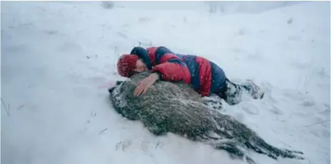  ?? FOTO: PALKA ROBERT ?? DJURRÄTTSA­KTIVIST. Janina Duszejko gör upp med jägare i ”Villebråd”.