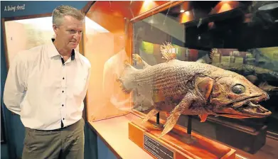  ?? Picture: ALAN EASON ?? ANCIENT CREATURE: Scientist Kevin Cole admires the East London Museum's iconic coelacanth exhibition. Cole will be giving a talk at the museum's MLC Hall in celebratio­n of the 80th anniversar­y of the fish’s discovery.