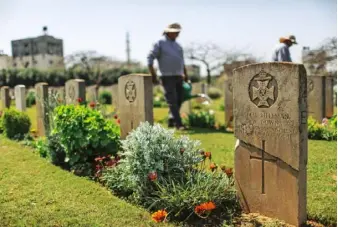  ?? Photograph by Wissam Nassar ?? Graveside plantings in the Gaza War Cemetery are part of what is probably the world’s largest horticultu­ral operation.