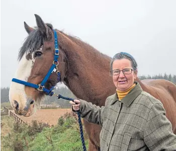  ?? Picture by Jason Hedges. ?? HIGH HORSE: Frances Davies with Lauder the Clydesdale.