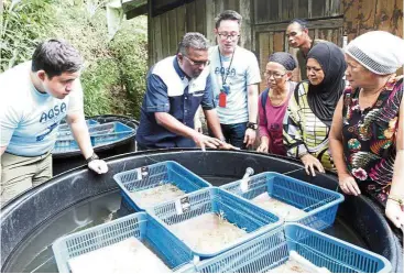  ??  ?? Kalithasan (second from left) explains how water from fish breeding in the bigger tanks helps fertilise the plants in blue trays.