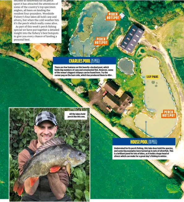  ??  ?? CHARLIES POOL All the lakes hold perch like this one. (15 PEGS) PERCH HOTSPOT PERCH HOTSPOT There are few features on this heavily-stocked pool, which holds big numbers of carp and ornamental fish. However, some of the venue’s biggest stripeys can be...