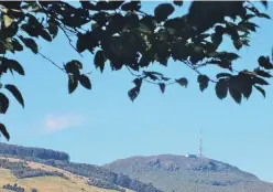  ?? PHOTOS: GILLIAN VINE ?? Framed . . . The leaves of a birch in Dunedin Botanic Garden frame a view of Mt Cargill.