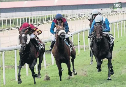  ?? FOTO: UNANUE ?? Lucha sin cuartel la que se espera hoy en el Hipódromo donostiarr­a con la celebració­n de la 50ª Copa de Oro