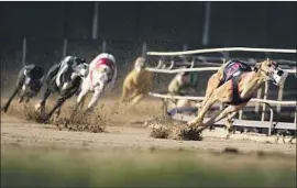  ?? Charlie Neibergall Associated Press ?? RACERS COMPETE at Iowa Greyhound Park in Dubuque before its closure this month. By year’s end, there will only be two U.S. tracks — both in West Virginia.