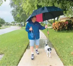  ?? LOIS K. SOLOMON/SOUTH FLORIDA SUN SENTINEL ?? Geoff Solomon walks Louise, a beagle mix, during light rain in Boca Raton. Getting pets outside during storms can be difficult.