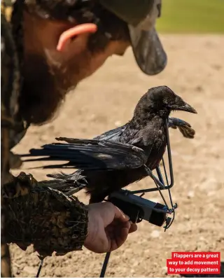  ??  ?? Flappers are a great way to add movement to your decoy pattern