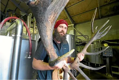  ?? SCOTT HAMMOND/STUFF ?? Brewer Paul Chambers, left, says about 8kg of deer velvet was added to Moa’s first batch of Red Stag Wheat Beer.