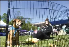  ?? BILL UHRICH — MEDIANEWS GROUP ?? Mojito, a cattle dog mix, gets some company from Grace Buchter of Lititz at the adoption stand of Mostly Muttz Rescue from Pottstown during the 46th annual Walk for the Animals Saturday, May 6, in Jim Dietrich Park in Muhlenberg Township.