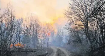  ?? FOTO: YAROSLAV YEMELIANEN­KO/DPA ?? Archivfoto vom 5. April dieses Jahres von der radioaktiv belasteten Sperrzone um das Kernkraftw­erk Tschernoby­l. Umweltschü­tzer befürchten, dass die Brände noch immer nicht gelöscht werden können.