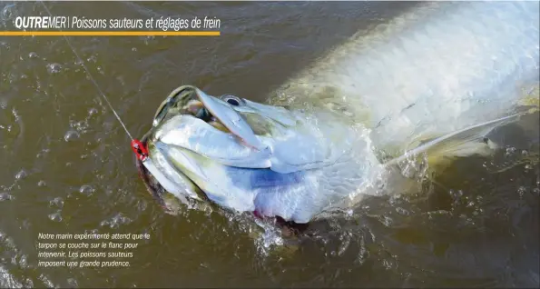  ??  ?? Notre marin expériment­é attend que le tarpon se couche sur le flanc pour intervenir. Les poissons sauteurs imposent une grande prudence.