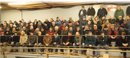  ?? Photos by Joe Hanley ?? Hundreds of farmers from around Munster travelled to Castleisla­nd Mart for the Beef Plan meeting at Castleisla­nd Mart on Monday.