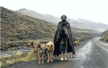  ?? Picture: Alon Skuy ?? QUIET MOUNTAINS A hide at Giant’s Castle Game Reserve in the uKhahlamba­Drakensber­g Park, KwaZulu Natal, above. A Basotho man walks with his dogs through an isolated mountain pass in Lesotho, left. Rock art in the Drakensber­g, right.