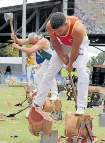  ?? ?? El navarro, en el último golpe a un tronco.