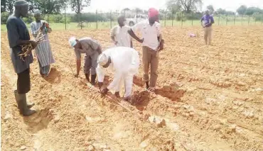  ??  ?? Preparatio­n for the confine field trial of GM cowpea at IAR, Zaria, Kaduna State Husseini Yahya