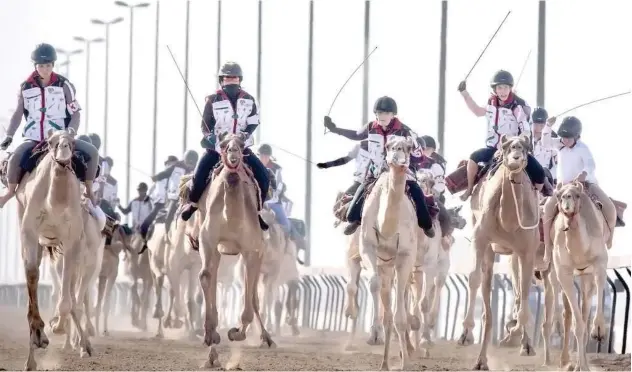  ?? ?? ↑
A total of 23 camel riders representi­ng 17 countries took part in the 1.2km race for expats.