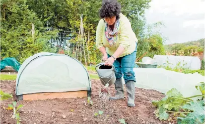  ??  ?? Gardening expert Pippa Greenwood watering in new plants. Photos: Pippa Greenwood/PA