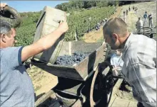  ??  ?? Vendanges conviviale­s à l’ancienne